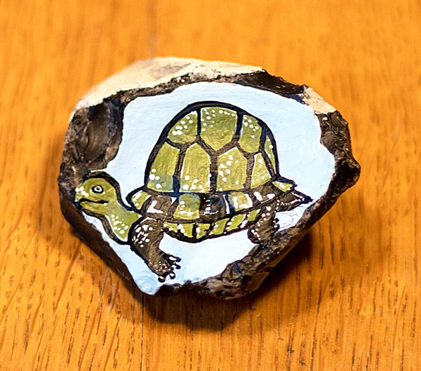 Stein mit Schildkröte
